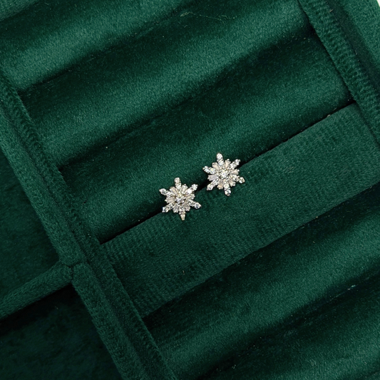 Snowflake Silver Eartops