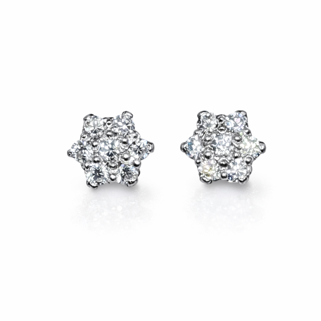 Seven Star Silver Ear Studs