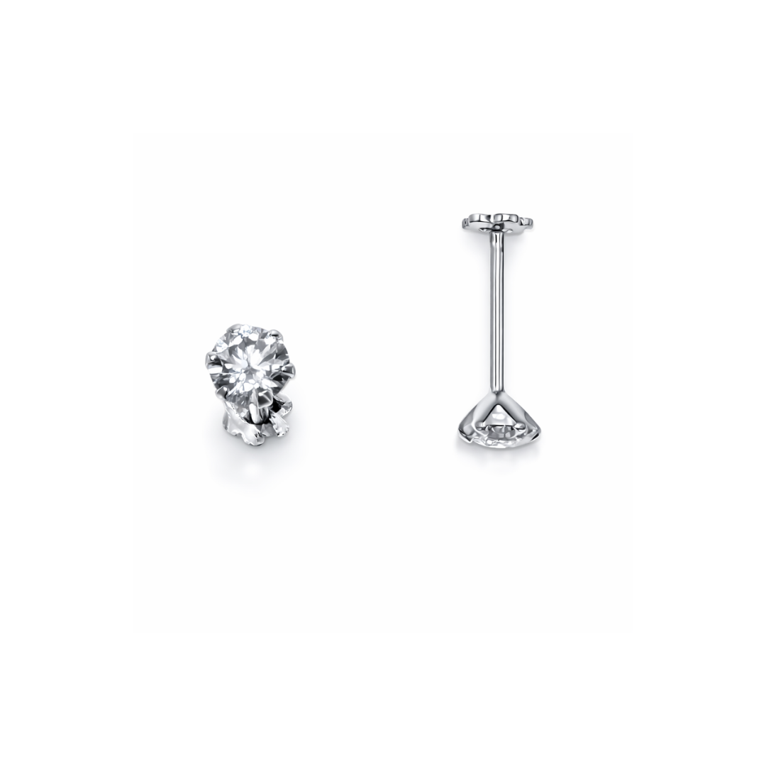 Round Silver Ear Studs