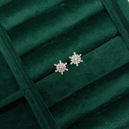 Snowflake Silver Eartops