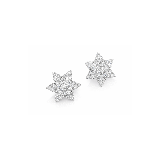 Snow Star Eartops