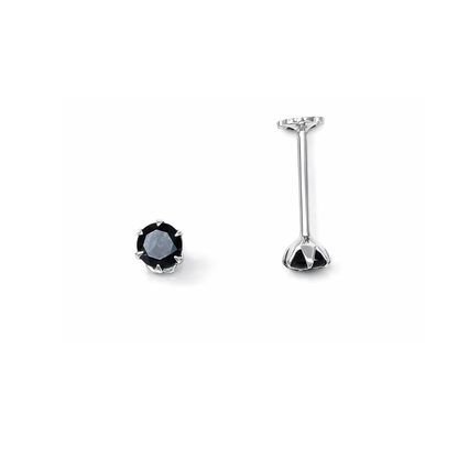 Round Silver Ear Studs