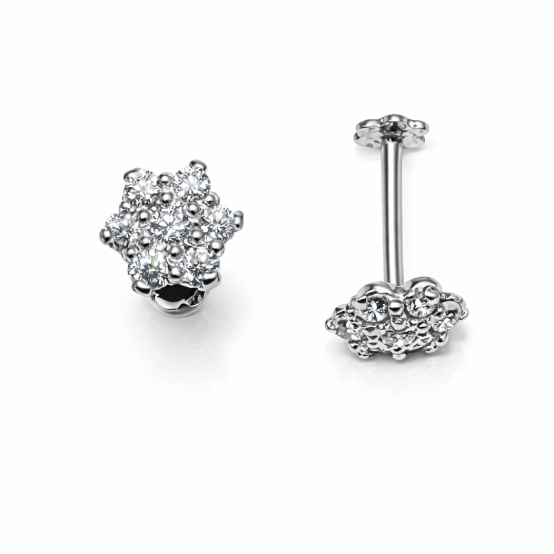 Seven Star Silver Ear Studs