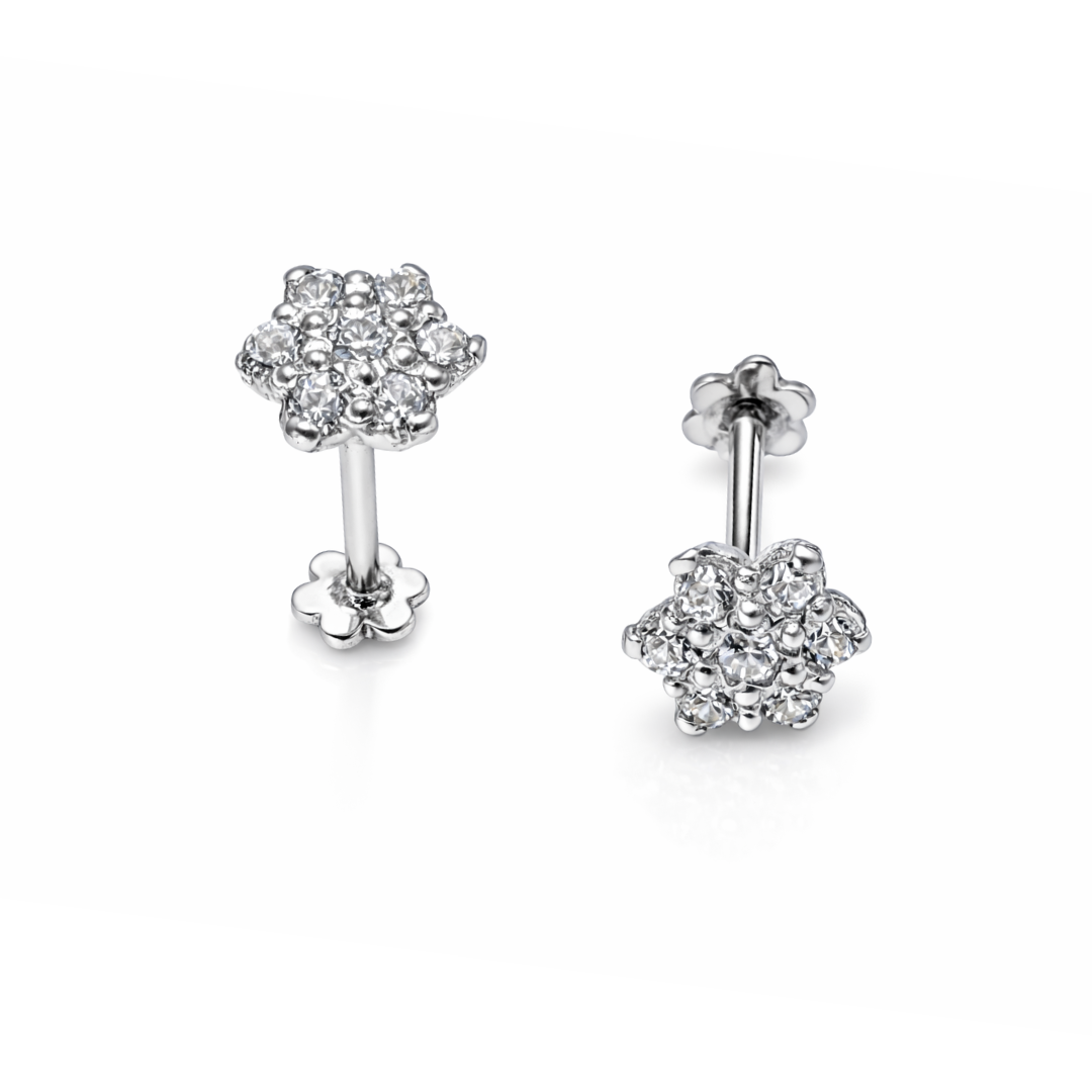 Seven Star Silver Ear Studs