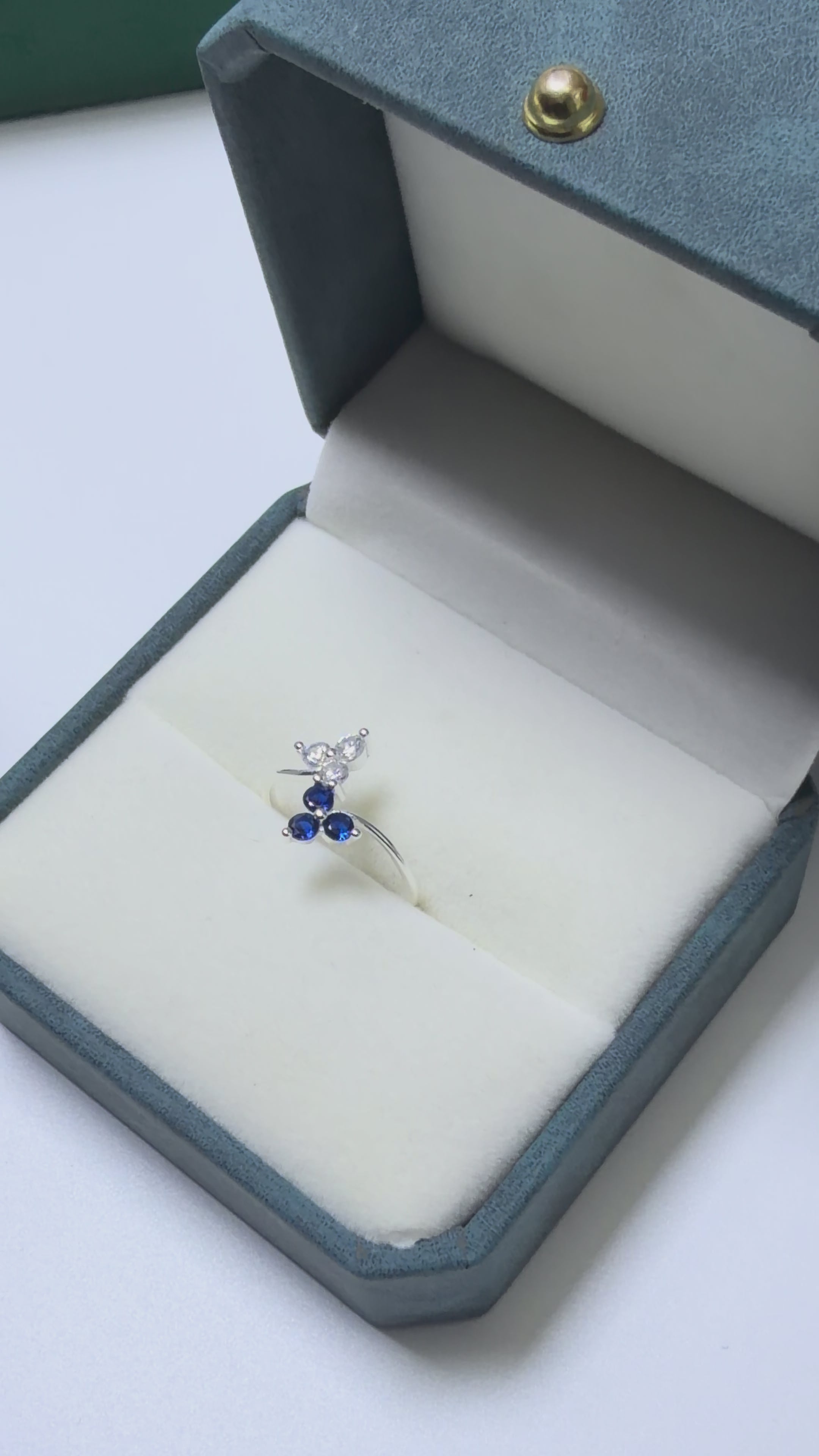 Double Leaf Silver Ring